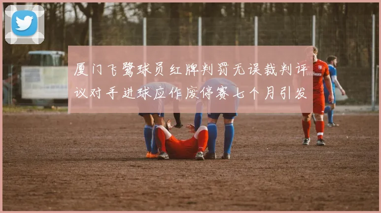 厦门飞鹭球员红牌判罚无误裁判评议对手进球应作废停赛七个月引发热议