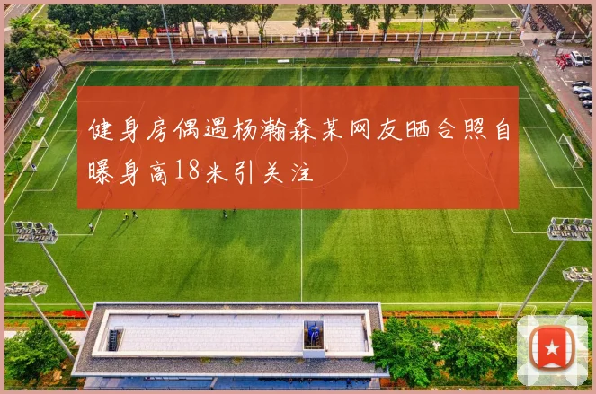 健身房偶遇杨瀚森某网友晒合照自曝身高18米引关注